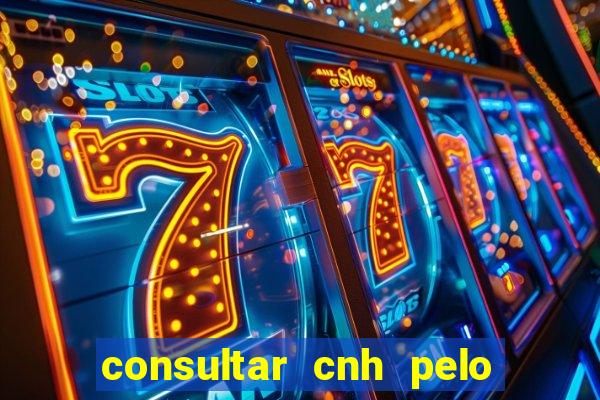 consultar cnh pelo cpf sp